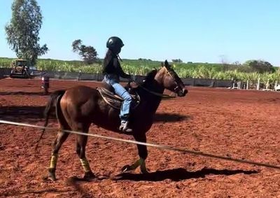 Aos 12 anos, jovem amazona mirassolense se destaca na categoria mirim e mostra talento e potencial nas provas regionais