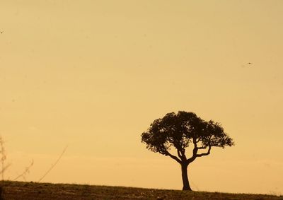 Inmet prev&ecirc; mudan&ccedil;a r&aacute;pida nas temperaturas, chuva na quarta-feira e ar mais seco em Mirassol e cidades da regi&atilde;o