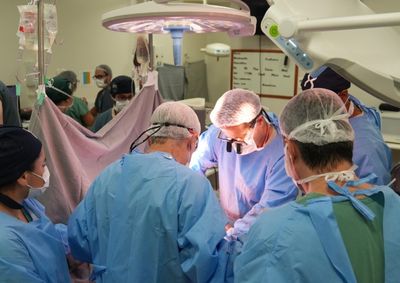 Estrutura atua em 24 hospitais da regi&atilde;o e &eacute; respons&aacute;vel por identificar potenciais doadores, acolher fam&iacute;lias e coordenar o processo de capta&ccedil;&atilde;o