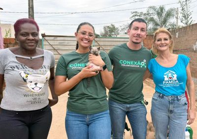 Em Mirassol, a&ccedil;&otilde;es com idosos, animais, crian&ccedil;as e doa&ccedil;&atilde;o de sangue mostram como o voluntariado dos colaboradores da Sanessol segue gerando impacto