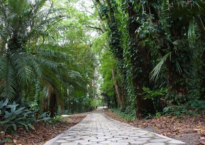Atividade ser&aacute; realizada de segunda a quarta-feira e vai atender alunos da rede municipal durante a Semana do Meio Ambiente

