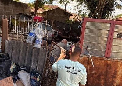 A&ccedil;&atilde;o reuniu Guarda Civil Municipal e equipes da Prefeitura; animais foram resgatados e propriet&aacute;rio ser&aacute; notificado para limpeza da &aacute;rea.


