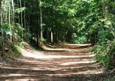Evento gratuito ser&aacute; realizado no dia 26 de julho, em Mogi Mirim, com atividades de lazer, cultura e contato com a natureza

