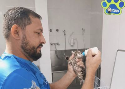 &nbsp;A&ccedil;&otilde;es incluem resgate, alimenta&ccedil;&atilde;o e cuidados com c&atilde;es e gatos, destacando a import&acirc;ncia da prote&ccedil;&atilde;o animal no munic&iacute;pio.

