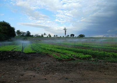 Doa&ccedil;&atilde;o feita por produtor rural ser&aacute; distribu&iacute;da a 11 organiza&ccedil;&otilde;es sociais; interessados tamb&eacute;m podem contribuir com o programa.