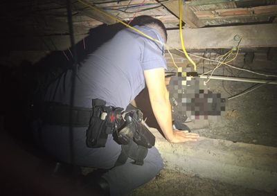 Moradores ouviram barulhos no telhado ap&oacute;s a energia ser interrompida; dois idosos estavam no im&oacute;vel durante a ocorr&ecirc;ncia.