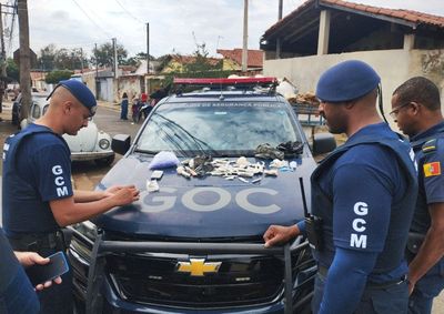 A K9 Judite encontrou maconha, coca&iacute;na, crack, embalagens vazias e balan&ccedil;a perto de ve&iacute;culos estacionados; material foi levado &agrave; CPJ