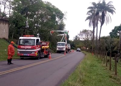 Fio teria se rompido ap&oacute;s queda de galho durante os fortes ventos; rede precisou ser desligada para que Bombeiros retirassem o animal

