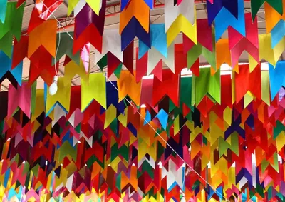 Al&eacute;m das apresenta&ccedil;&otilde;es, o evento contar&aacute; com o clima tradicional das festas julinas, valorizando a cultura popular e incentivando a conviv&ecirc;ncia comunit&aacute;ria