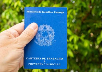 As vagas atendem diversas especialidades e diferentes perfis profissionais, com vagas exclusivas para pessoas com defici&ecirc;ncia (PCD).