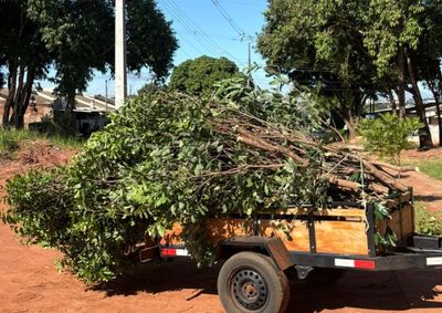 A proposta surge diante de uma demanda enfrentada por profissionais que trabalham com podas e manuten&ccedil;&atilde;o de &aacute;reas verdes.