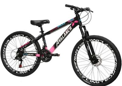 A bicicleta furtada &eacute; da marca Avalanche, aro 26, de cor preta com detalhes em rosa.