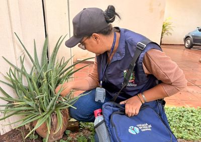 Profissionais percorrem diariamente os bairros para combater focos do Aedes aegypti e orientar a popula&ccedil;&atilde;o.
