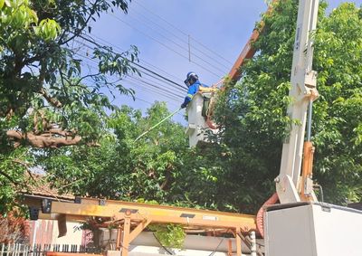 Trabalhos continuam nesta ter&ccedil;a-feira (7) no Jardim Belo Horizonte; outras 2 mil &aacute;rvores j&aacute; est&atilde;o mapeadas para manuten&ccedil;&atilde;o at&eacute; o fim de julho.