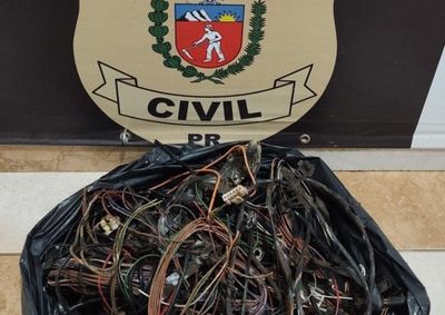 Suspeito foi detido pela Pol&iacute;cia Civil ap&oacute;s ser flagrado furtando um estabelecimento comercial; objetos foram recuperados e devolvidos &agrave; v&iacute;tima.