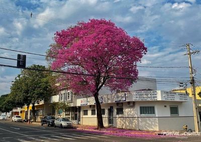 Segundo o Simepar, temperaturas seguem elevadas no in&iacute;cio da semana, mas a instabilidade retorna com previs&atilde;o de chuva.