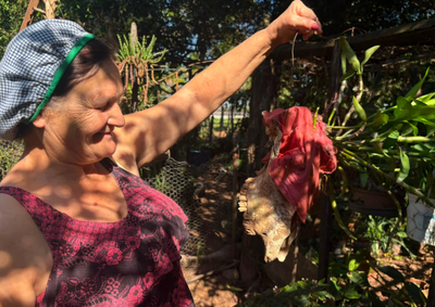 Apaixonada pelo cultivo, moradora de Guaira&ccedil;&aacute; cultiva milhares de plantas em sua ch&aacute;cara que re&uacute;ne mais de cem esp&eacute;cies