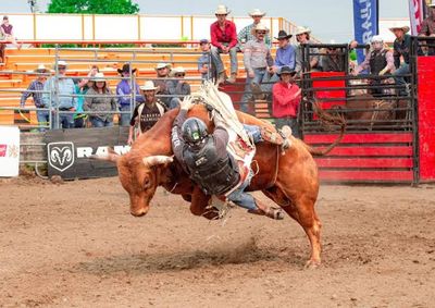 Evento ser&aacute; realizado at&eacute; domingo (27), no Parque de Rodeios Dois Irm&atilde;os, com entrada gratuita.