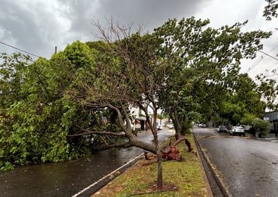 Ap&oacute;s o temporal que provocou quedas de &aacute;rvores e deixou milhares de im&oacute;veis sem energia na cidade, Paranava&iacute; amanheceu novamente com chuva nesta quarta.