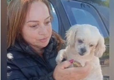 Segundo a GCM, a situa&ccedil;&atilde;o chegou a afetar a rotina da mulher, que relatava dificuldades para dormir e trabalhar enquanto procurava pelo animal.