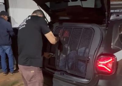 Dentro da sacola foram encontrados aproximadamente 2 kg de maconha, 88 gramas de coca&iacute;na e 26 gramas de haxixe.
