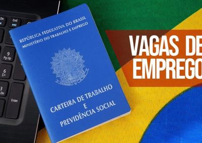 S&atilde;o 334 oportunidades em diferentes &aacute;reas, com op&ccedil;&otilde;es para com&eacute;rcio, ind&uacute;stria, constru&ccedil;&atilde;o civil, servi&ccedil;os e setor agr&iacute;cola.