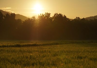 Segundo o Simepar, sexta a domingo ter&atilde;o 0% de chance de chuva, com temperaturas caindo at&eacute; a m&iacute;nima de 13&deg;C no domingo.