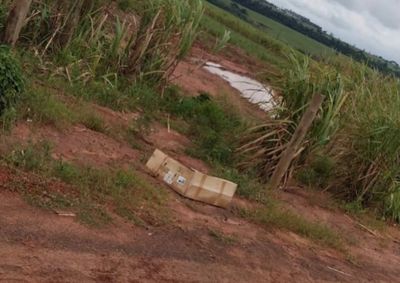 Animais foram encontrados em uma estrada de terra e est&atilde;o sob cuidados da Sociedade Protetora dos Animais de Paranava&iacute;, que busca informa&ccedil;&otilde;es e novos lares