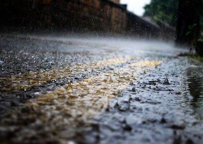 Segundo o Simepar, s&aacute;bado (10) tem 98% de chance de chuva e 28,1 mm previstos; domingo (11) tamb&eacute;m ser&aacute; chuvoso.