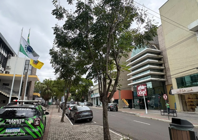 Solicita&ccedil;&atilde;o de corte deve ser feita pelo propriet&aacute;rio do im&oacute;vel, e retirada depende de avalia&ccedil;&atilde;o t&eacute;cnica da Secretaria de Meio Ambiente.
