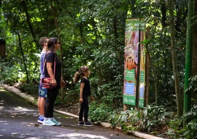 Quase todas as estruturas contam com movimentos e sons, tornando a experi&ecirc;ncia mais interativa para o p&uacute;blico infantil.