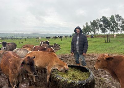 No Dia Nacional da Pecu&aacute;ria, Reinaldo da Silva, de 49 anos, compartilha os desafios de quem trabalha h&aacute; 35 anos com a cria&ccedil;&atilde;o de gado.