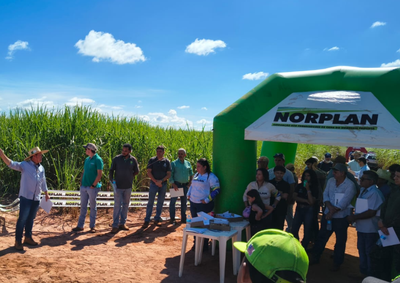Evento t&eacute;cnico reuniu empresas parceiras para avaliar o comportamento de variedades e solu&ccedil;&otilde;es aplicadas no campo.