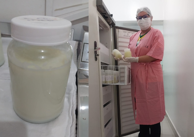 As mulheres interessadas podem entrar em contato direto com a Santa Casa de Pen&aacute;polis para saberem como doar