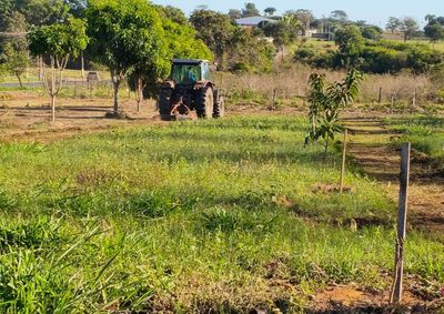 Manuten&ccedil;&atilde;o cont&iacute;nua atende &aacute;reas verdes, pr&eacute;dios p&uacute;blicos e espa&ccedil;os de lazer para garantir seguran&ccedil;a e sa&uacute;de p&uacute;blica em Pen&aacute;polis