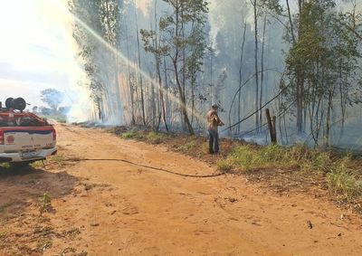 &Oacute;rg&atilde;o e Daep apoiaram os Bombeiros no combate ao fogo em &aacute;rea de pastagem e eucalipto pr&oacute;xima ao bairro S&iacute;lvia Covas nesta quinta
