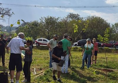 A&ccedil;&atilde;o em Ara&ccedil;atuba levou ip&ecirc;s, paineiras, jatob&aacute;s e jacarand&aacute;s-caroba a esquina que deve formar um corredor verde