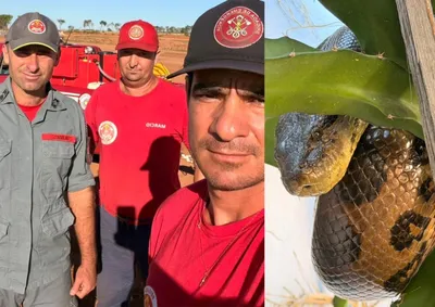 Brigada Municipal atendeu o chamado no bairro Barcelona e devolveu o animal ao habitat natural