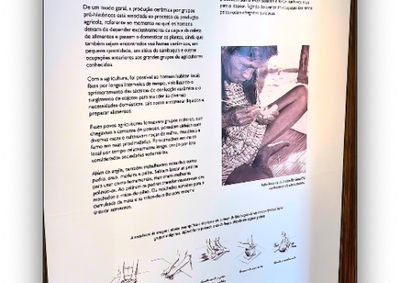 Exposi&ccedil;&atilde;o em cartaz no Museu de Arqueologia de Porto Seguro revela vest&iacute;gios hist&oacute;ricos e culturais de povos que habitaram a regi&atilde;o por mil&ecirc;nios.