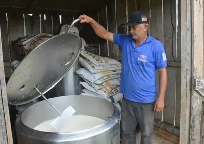 Programa&ccedil;&atilde;o em Ji-Paran&aacute; ter&aacute; foco em inspe&ccedil;&atilde;o sanit&aacute;ria e qualidade do leite