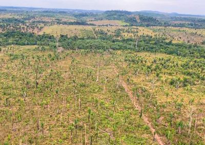 A&ccedil;&atilde;o civil p&uacute;blica busca responsabilizar investigados por danos ambientais e clim&aacute;ticos