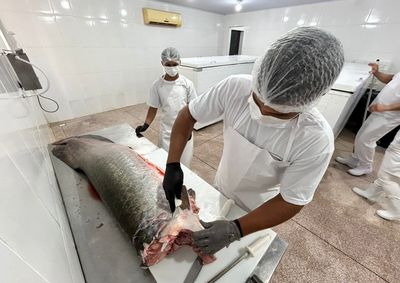 No Dia do Pescador, munic&iacute;pio destaca a&ccedil;&otilde;es que garantem qualidade sanit&aacute;ria 