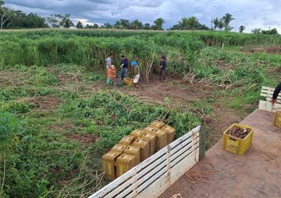 Documento garante acesso a cr&eacute;dito rural e programas p&uacute;blicos de compra de alimentos