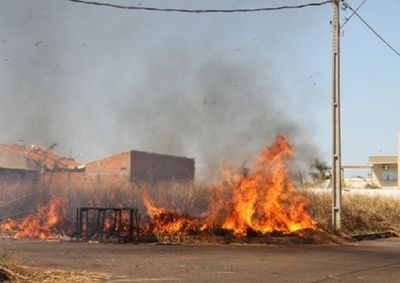 Fiscaliza&ccedil;&atilde;o, a&ccedil;&otilde;es preventivas e futura brigada municipal fazem parte da estrat&eacute;gia