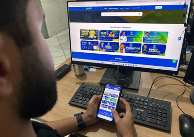 Servi&ccedil;o atende &aacute;rvores em &aacute;reas p&uacute;blicas com risco ou necessidade de manuten&ccedil;&atilde;o.