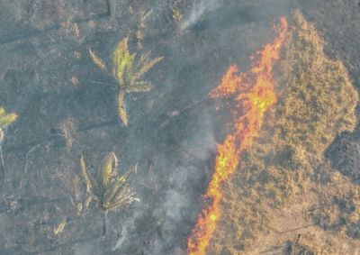 Comit&ecirc; re&uacute;ne mais de 20 institui&ccedil;&otilde;es para definir a&ccedil;&otilde;es preventivas contra inc&ecirc;ndios florestais