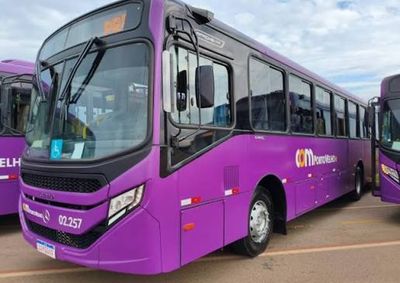 CittaMobi mostra linhas, paradas, trajetos e previs&atilde;o de chegada dos ve&iacute;culos