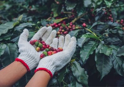 Projeto inovador desenvolvido no Sul de Minas poder&aacute; revolucionar no futuro a fabrica&ccedil;&atilde;o de baterias&nbsp;