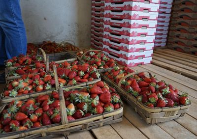 Agricultura familiar predomina e a atividade gera cerca de 15 mil empregos&nbsp;