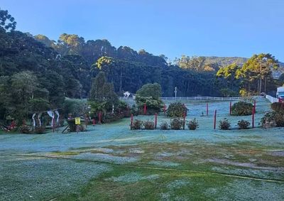 Monte Verde e Maria da F&eacute; confirmaram fama de localidades com frio congelante&nbsp;